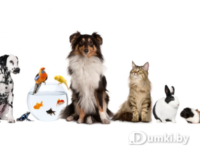 Фото компании