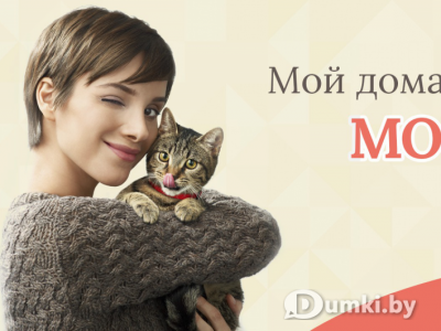 Фото компании