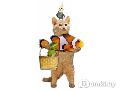 Фото компании