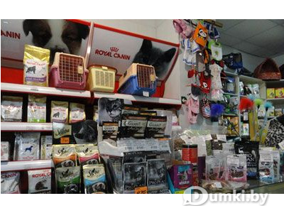 Фото компании