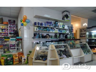 Фото компании