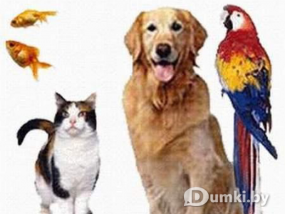 Фото компании