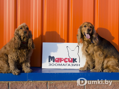 Фото компании