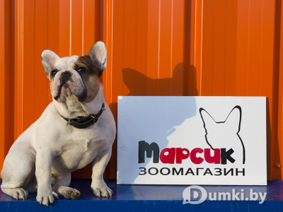 Фото компании