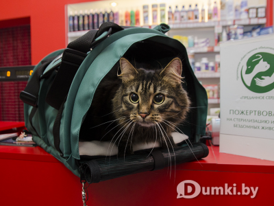 Фото компании