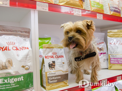 Фото компании