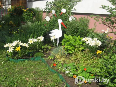 Фото компании