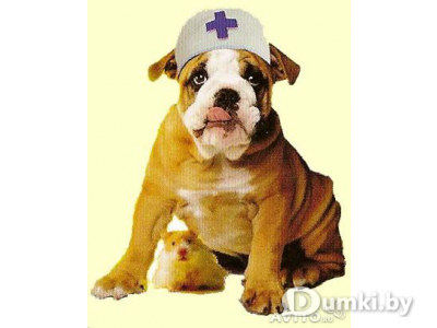 Фото компании