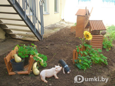 Фото компании