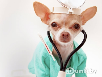 Фото компании