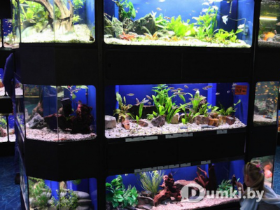 Фото компании