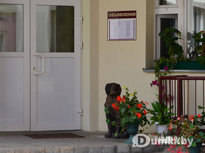 Фото компании