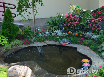 Фото компании