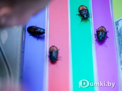 Фото компании