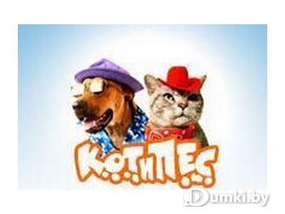 Фото компании