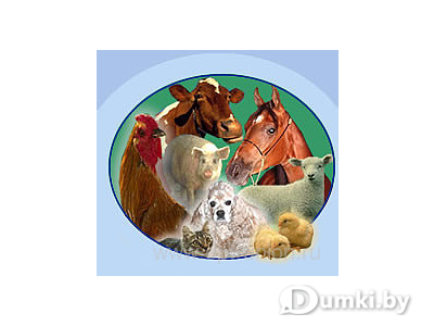 Фото компании