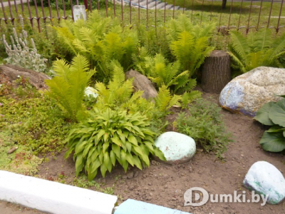 Фото компании