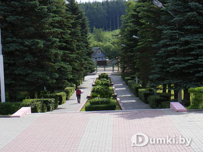 Фото компании