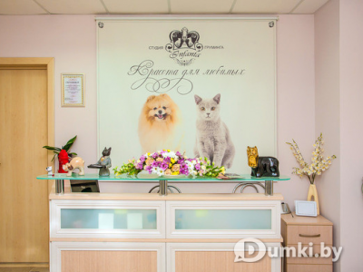 Фото компании