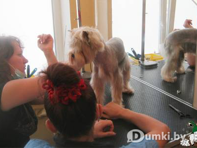 Фото компании