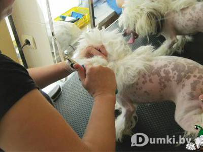 Фото компании