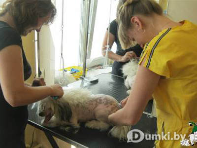 Фото компании