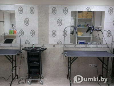 Фото компании