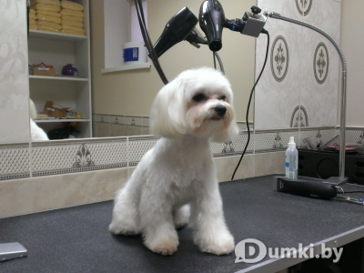 Фото компании