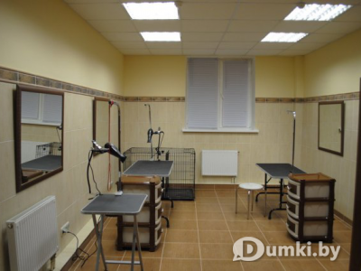 Фото компании