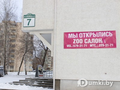 Фото компании