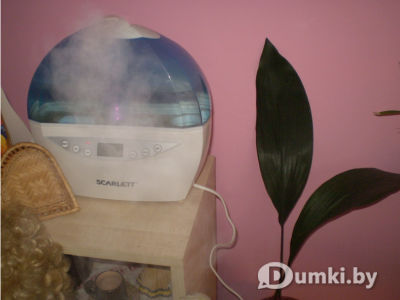 Фото компании