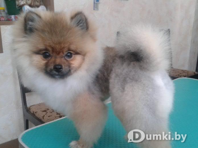 Фото компании