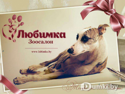 Фото компании