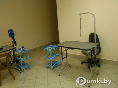 Фото компании