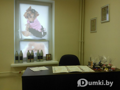 Фото компании