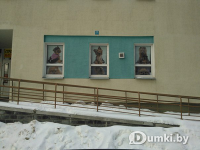 Фото компании