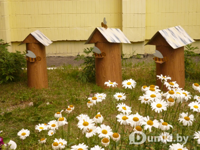 Фото компании