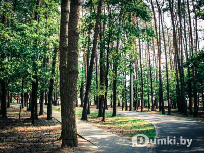 Фото компании