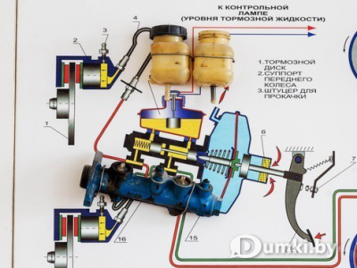 Фото компании