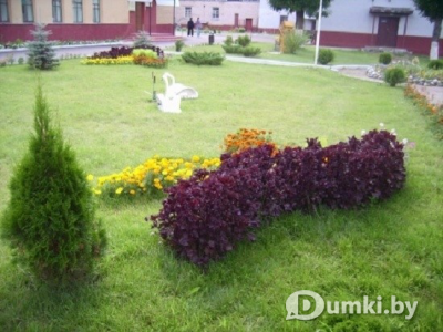 Фото компании