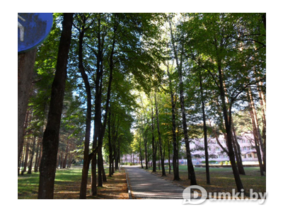 Фото компании