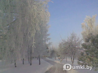 Фото компании