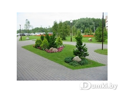 Фото компании