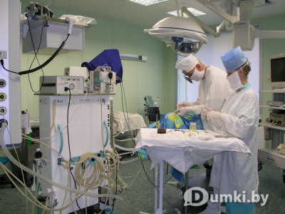 Фото компании