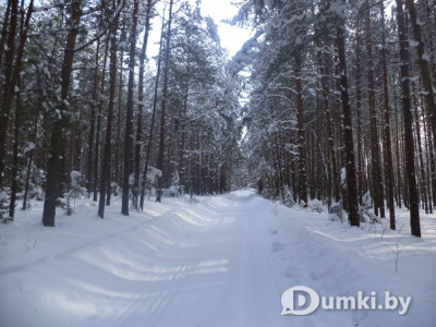 Фото компании