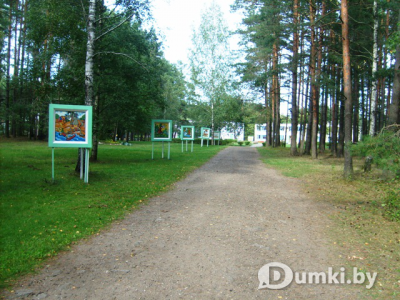 Фото компании