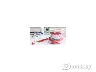 Фото компании