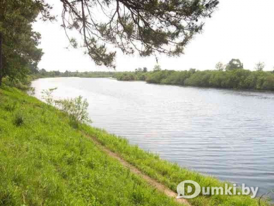 Фото компании