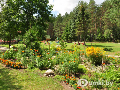 Фото компании