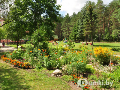 Фото компании